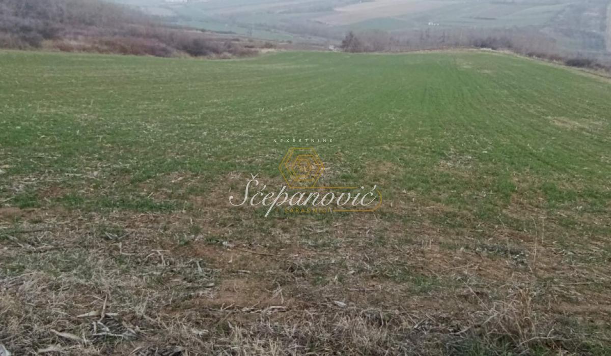 Plac Prodaja Novi Sad Plac Prodaja Novi Sad 10537 m2
