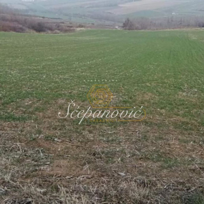 Plac Prodaja Novi Sad  10537 m2
