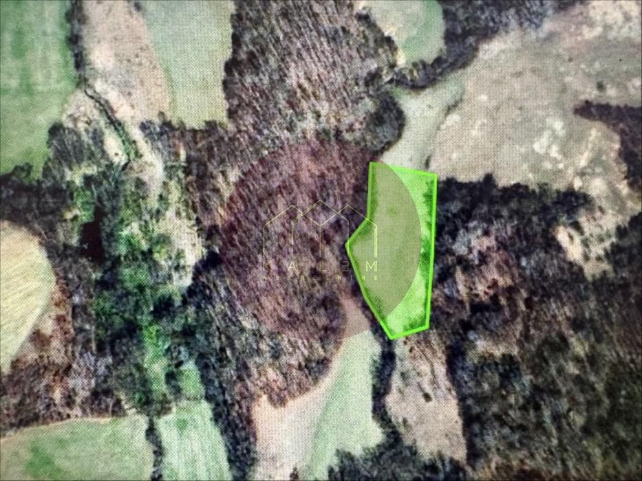 Plac Prodaja Kosjerić  4191 m2