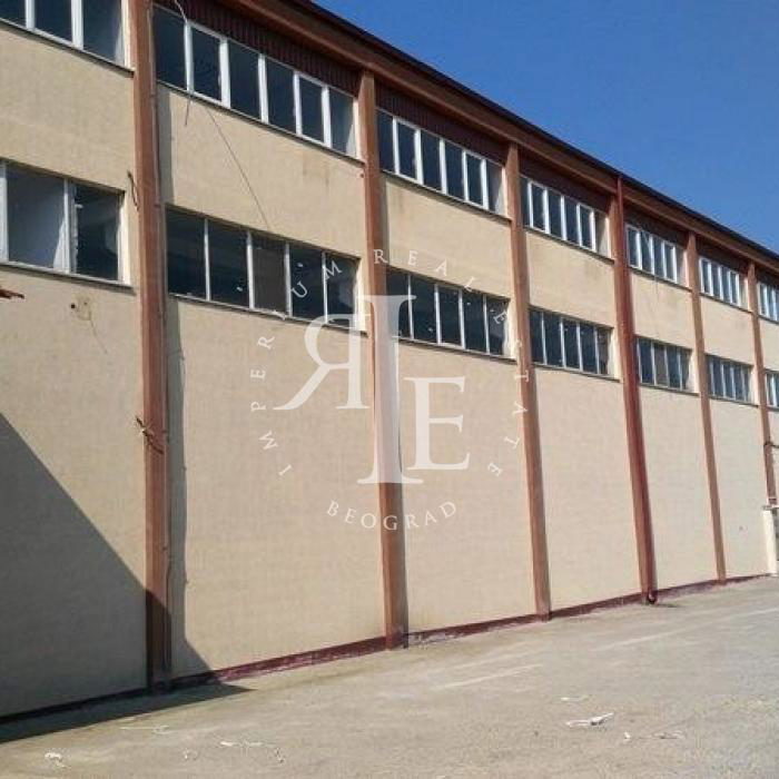 Lokal Izdavanje Beograd Altina 1265 m2