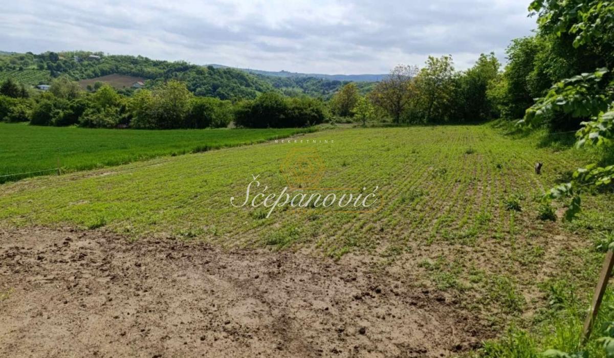 Plac Prodaja Novi Sad Plac Prodaja Novi Sad 1367 m2