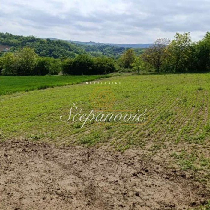 Plac Prodaja Novi Sad  1367 m2