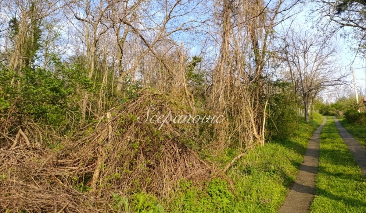 Plac Prodaja Novi Sad Plac Prodaja Novi Sad 1390 m2