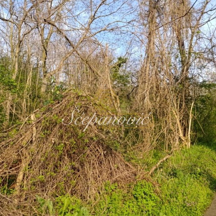 Plac Prodaja Novi Sad  1390 m2
