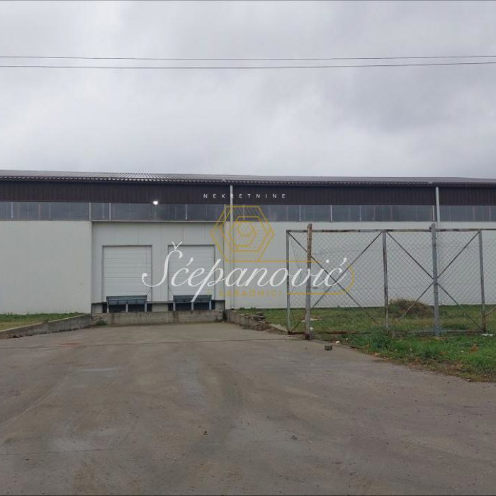 Lokal Izdavanje Novi Sad  2452 m2