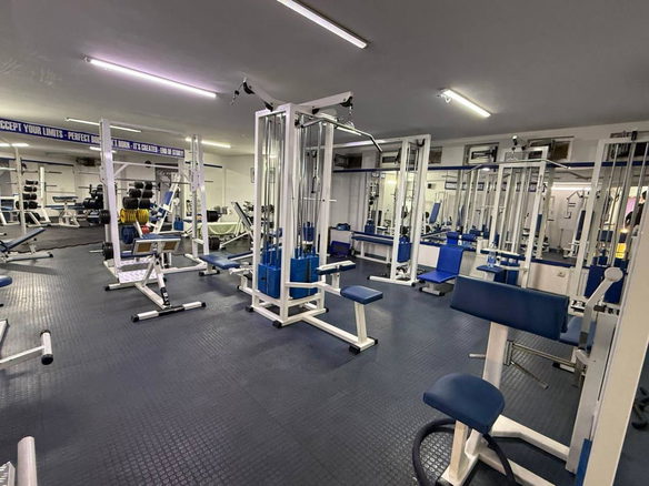 Lokal Izdavanje Novi Sad Socijalno 155 m2