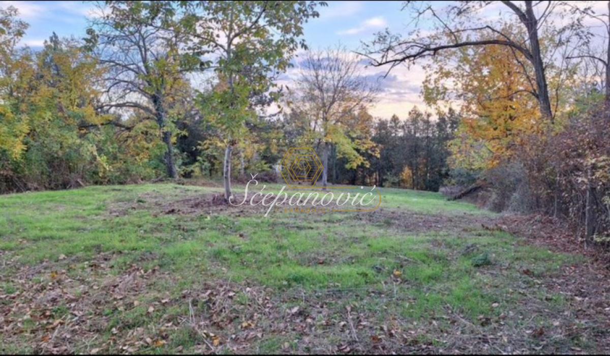 Plac na prodaju, Čortanovci, Inđija, 1814m², 66.800 €