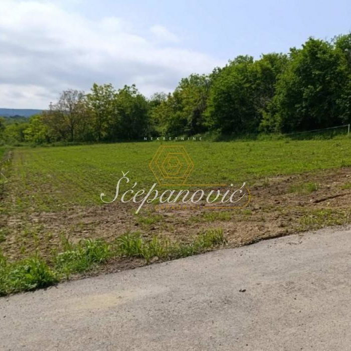 Plac Prodaja Novi Sad  1367 m2