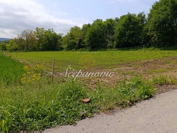 Plac Prodaja Novi Sad  1367 m2