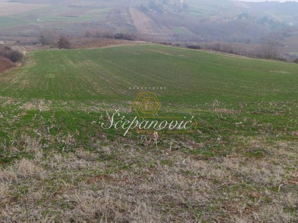 Plac Prodaja Novi Sad  10537 m2