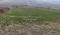 Plac Prodaja Novi Sad  10537 m2