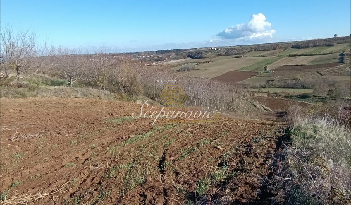 Plac Prodaja Novi Sad  21066 m2