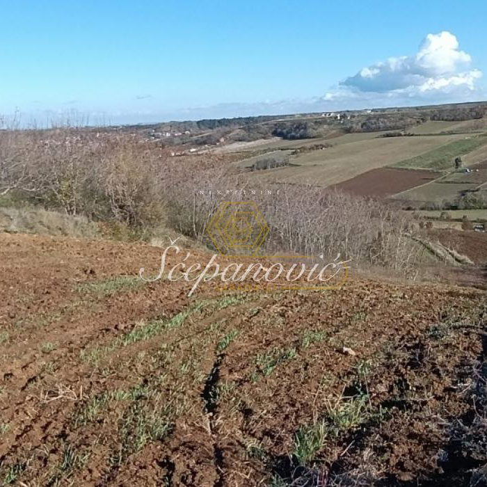 Plac Prodaja Novi Sad  21066 m2