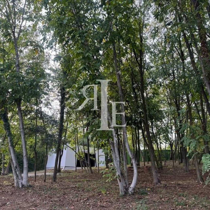 Kuća na prodaju, Ralja, Beograd, 270m², 480.000 €