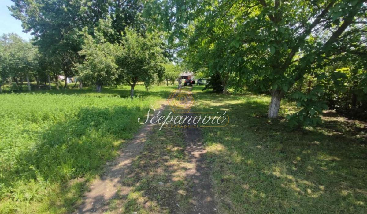Plac Prodaja Novi Sad  5870 m2