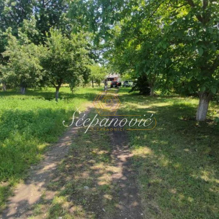 Plac Prodaja Novi Sad  5870 m2