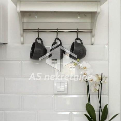 Dvosoban stan za izdavanje, Cara Dušana, Beograd, 45m², 800 €/mes