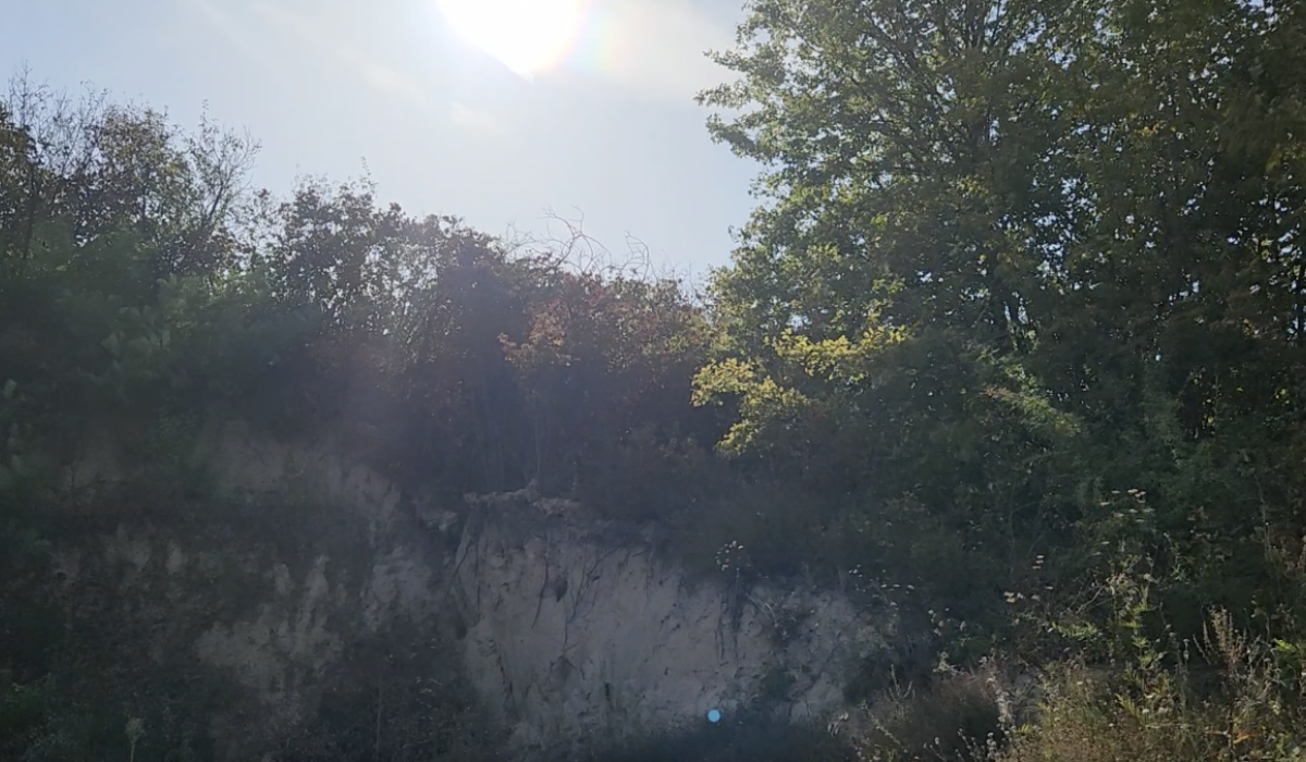 Plac Prodaja Inđija  2003 m2
