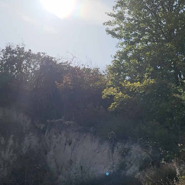Plac Prodaja Inđija  2003 m2