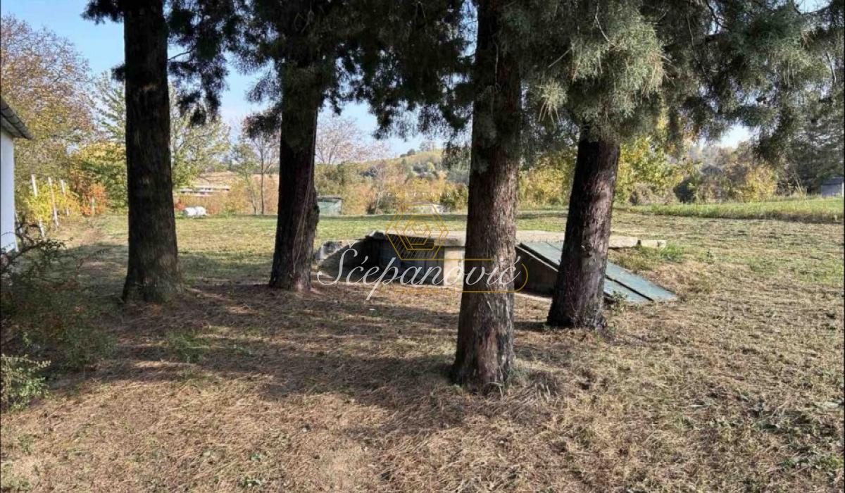 Plac Prodaja Novi Sad Plac Prodaja Novi Sad Alibegovac 1198 m2