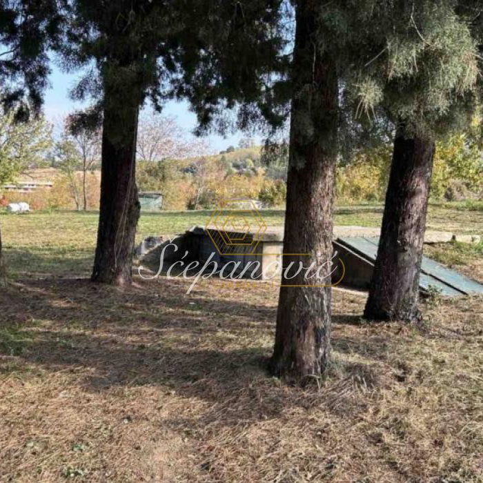 Plac Prodaja Novi Sad Alibegovac 1198 m2