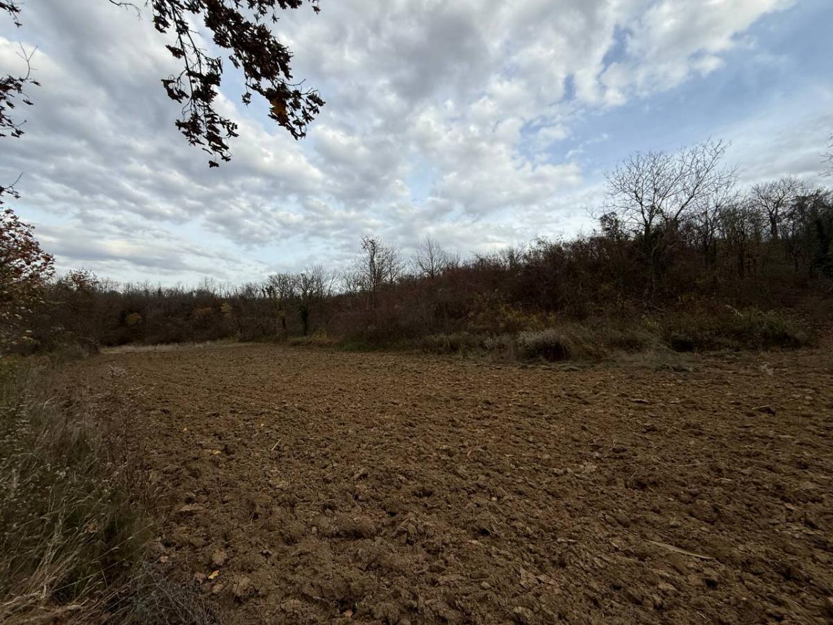 Plac na prodaju, Rakovac, Beočin, 24207m², 242.000 €