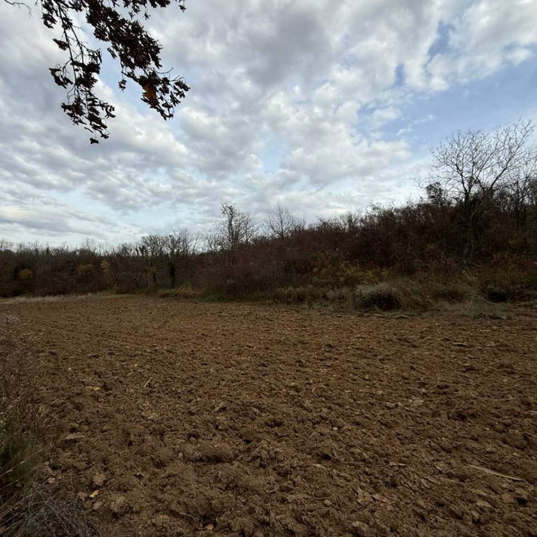 Plac na prodaju, Rakovac, Beočin, 24207m², 242.000 €