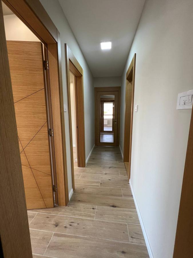 Lokal Izdavanje Novi Sad  101 m2