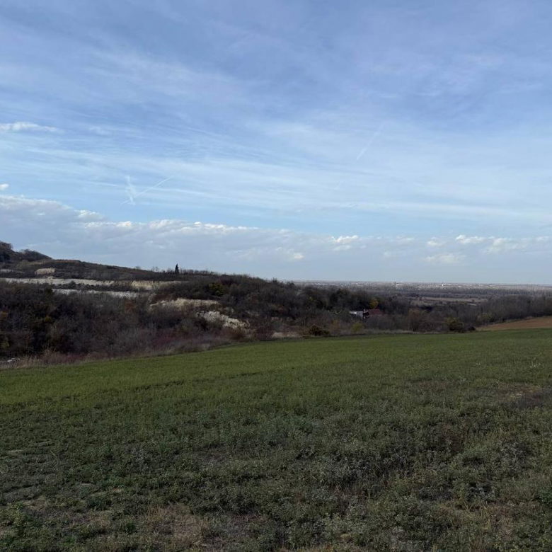 Plac na prodaju, Rakovac, Beočin, 24207m², 242.000 €