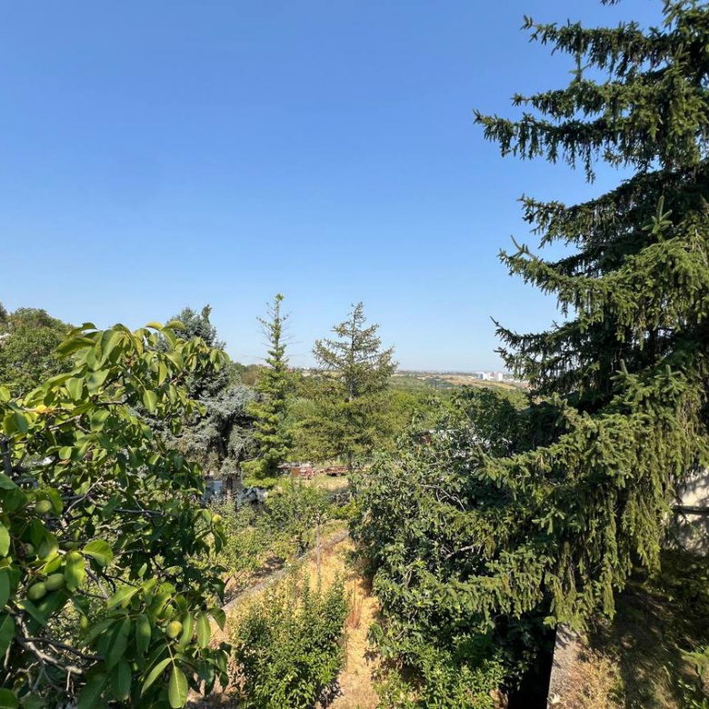 Kuća Prodaja Novi Sad  99 m2