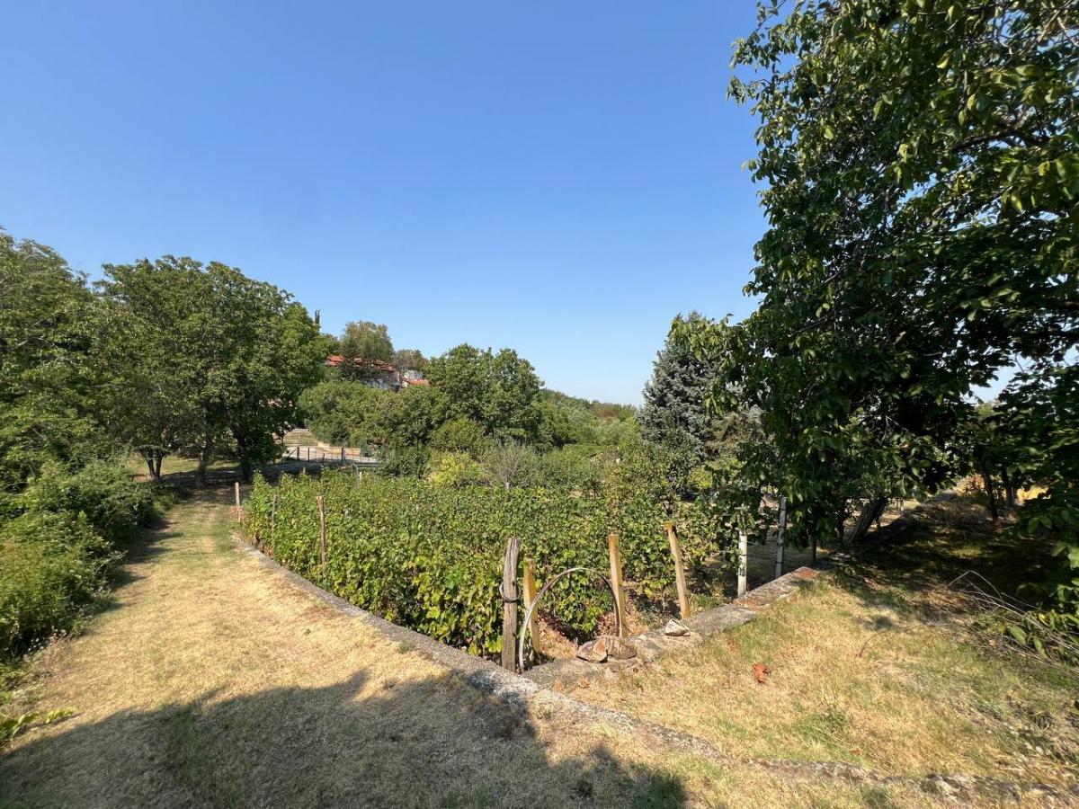 Kuća Prodaja Novi Sad Kuća Prodaja Novi Sad 99 m2