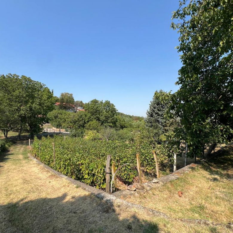 Kuća Prodaja Novi Sad  99 m2