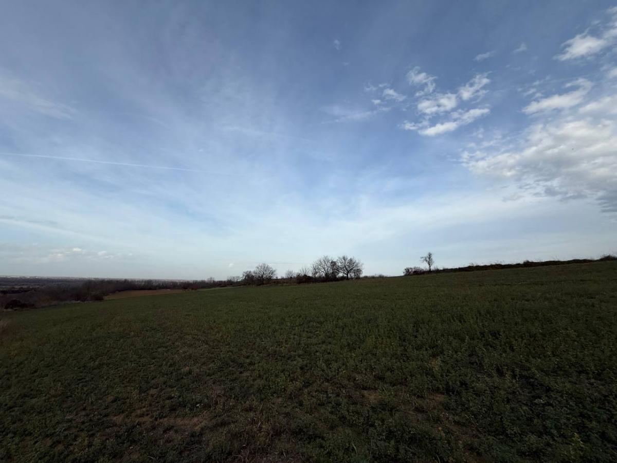 Plac na prodaju, Rakovac, Beočin, 24207m², 242.000 €