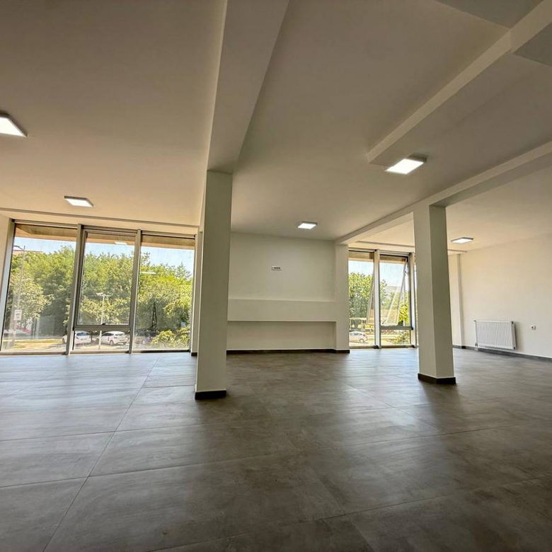 Lokal Izdavanje Novi Sad Bulevar Patrijarha Pavla 349 m2