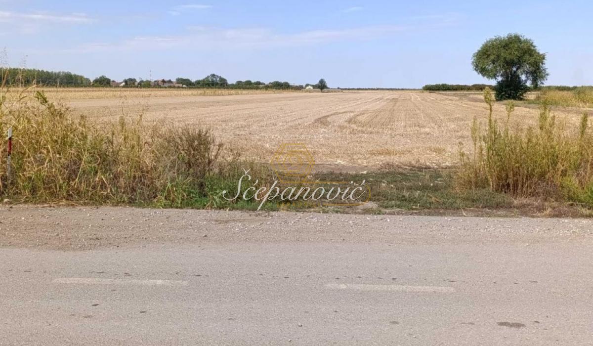 Plac Prodaja Novi Sad Plac Prodaja Novi Sad 17138 m2