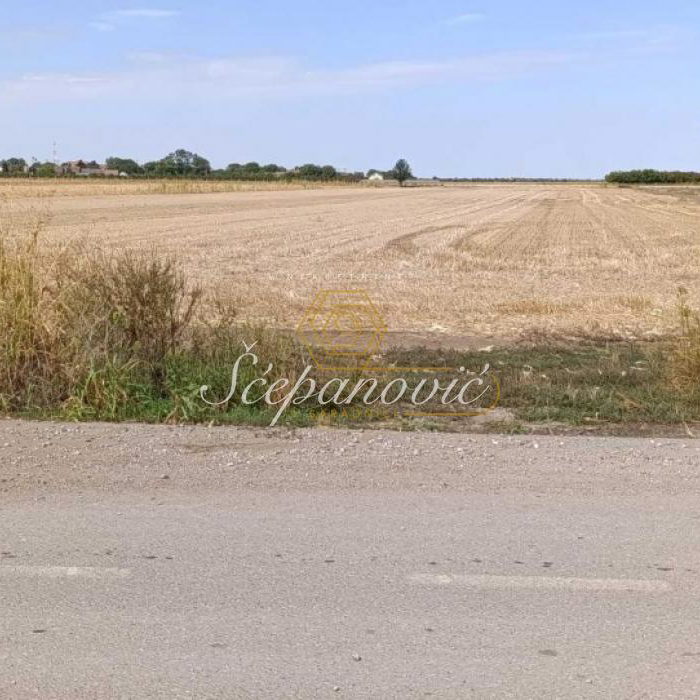 Plac Prodaja Novi Sad  17138 m2
